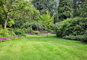 Optimiser l'expérience du jardin à Gancourt-Saint-Etienne